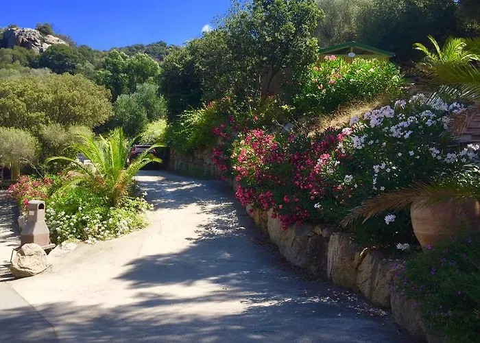 U Libecciu Kemp Olmeto (Corsica)